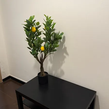 Guest house Sc Parma