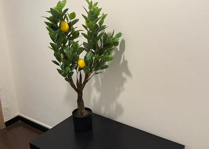 Maison d'hôtes Sc Parme